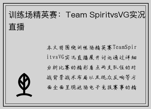 训练场精英赛：Team SpiritvsVG实况直播